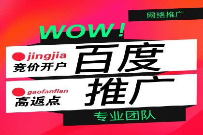 百度广告竞价效果评估：某知名品牌的投放效果分析
